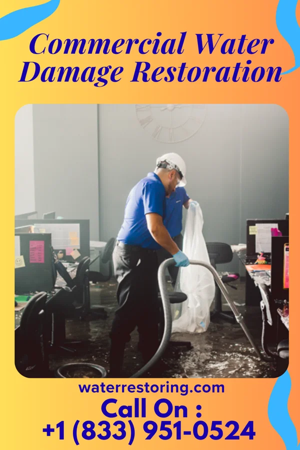 Commercial Water Damage Restoration in Cedar Grove, NM