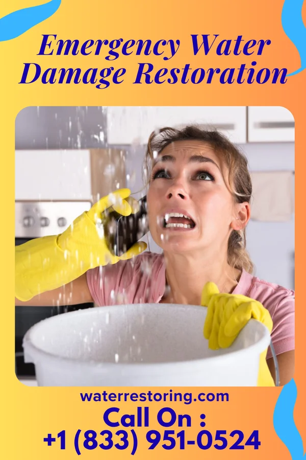 Emergency Water Damage Restoration in Cedar Grove, NM