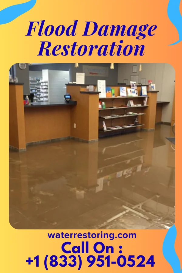 Flood Damage Restoration in Cedar Grove, NM