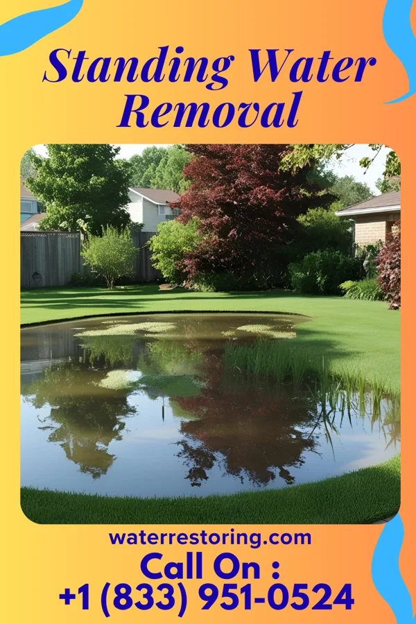 Standing Water Removal in Cedar Grove, NM
